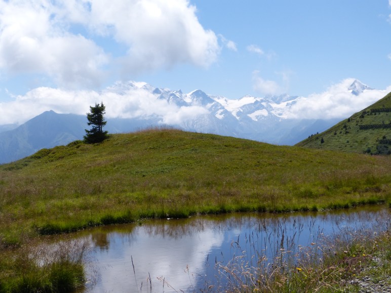 From the Schmittenhohe