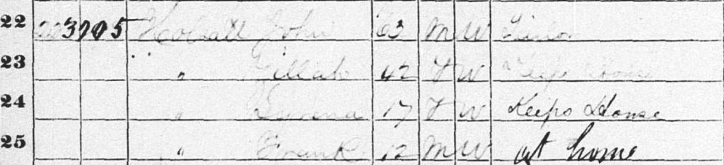 Zillah1870 census Capture
