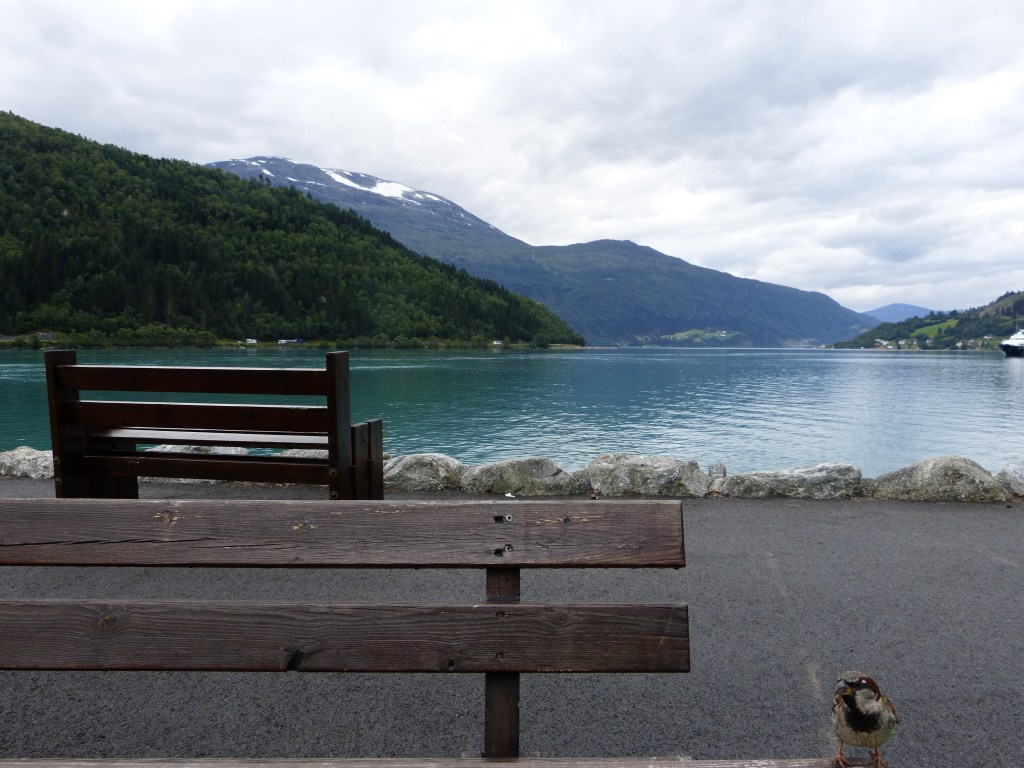 Introvert or Aspie? (#3 – Looking on the bright&nbsp;side)