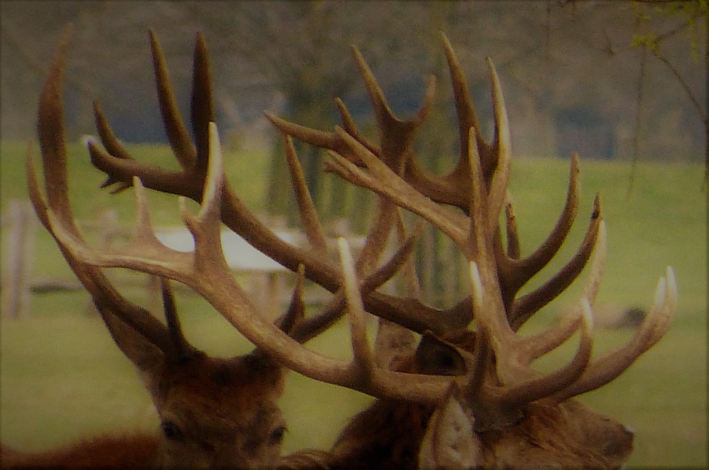 Eight types of&nbsp;ambiguity