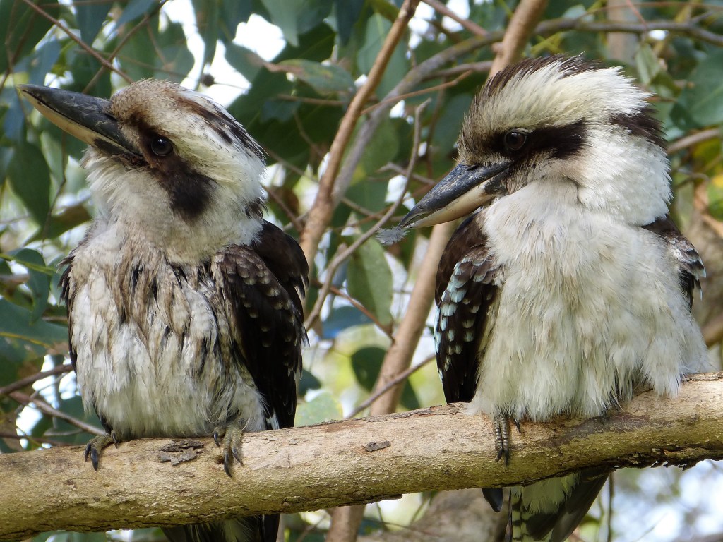 The ‘ordinary working families’&nbsp;fallacy