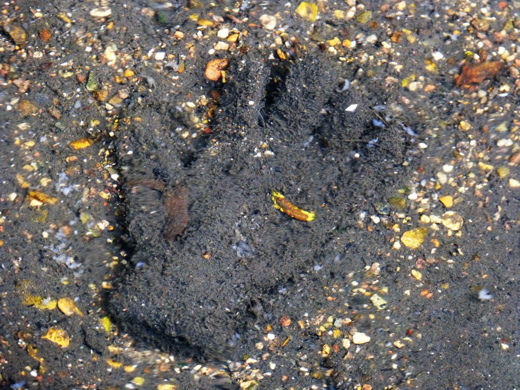 Monitoring the KS2 higher&nbsp;standard