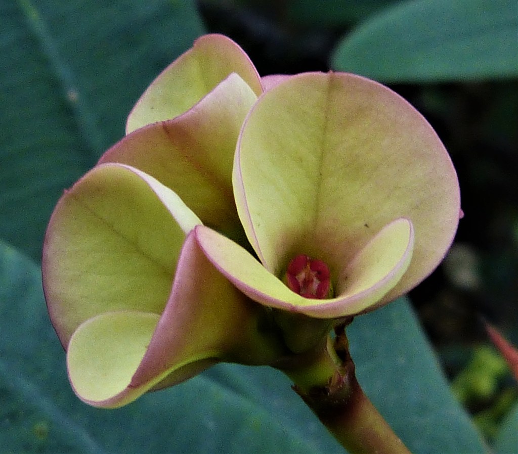 England’s excellence gaps&nbsp;revisited