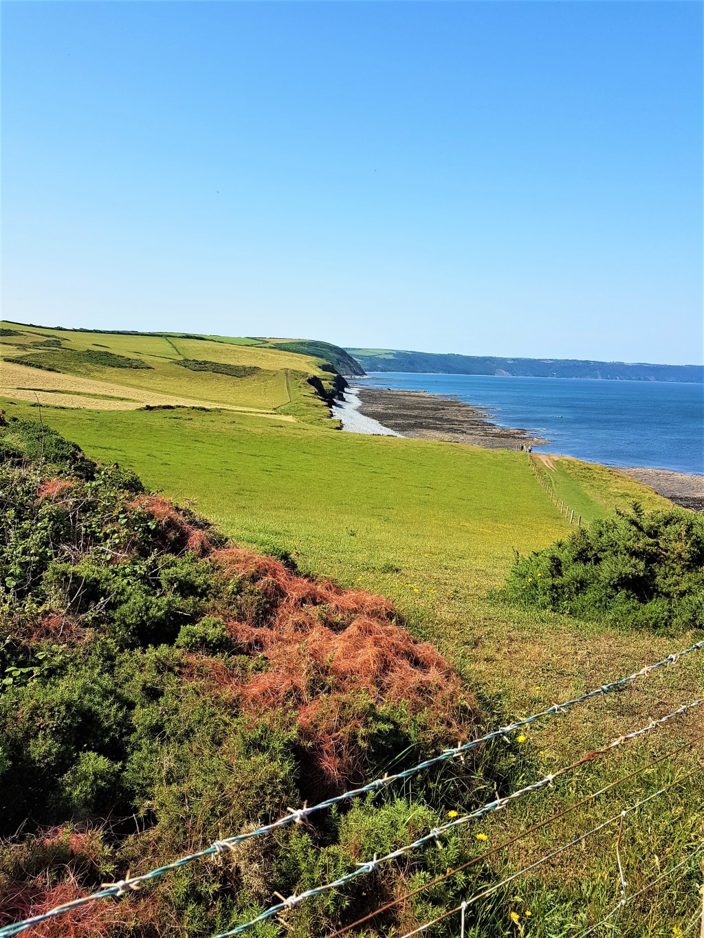 South-West Coast Path: Barnstaple to&nbsp;Clovelly