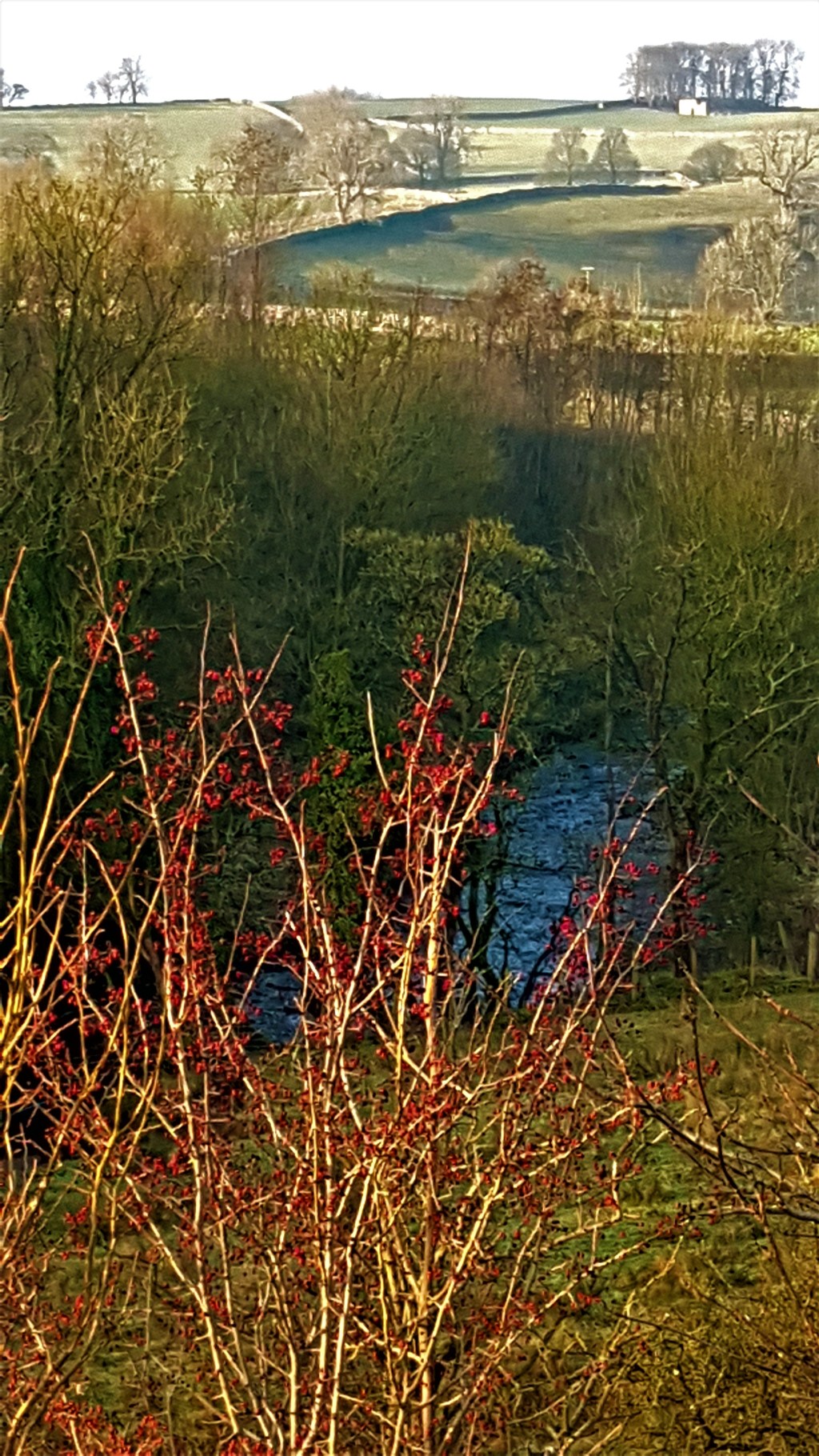 Southern Yorkshire Dales (HF Holidays, New Year&nbsp;2020)