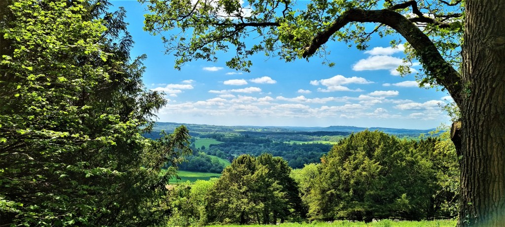 North Downs Way: Shalford to&nbsp;Westhumble