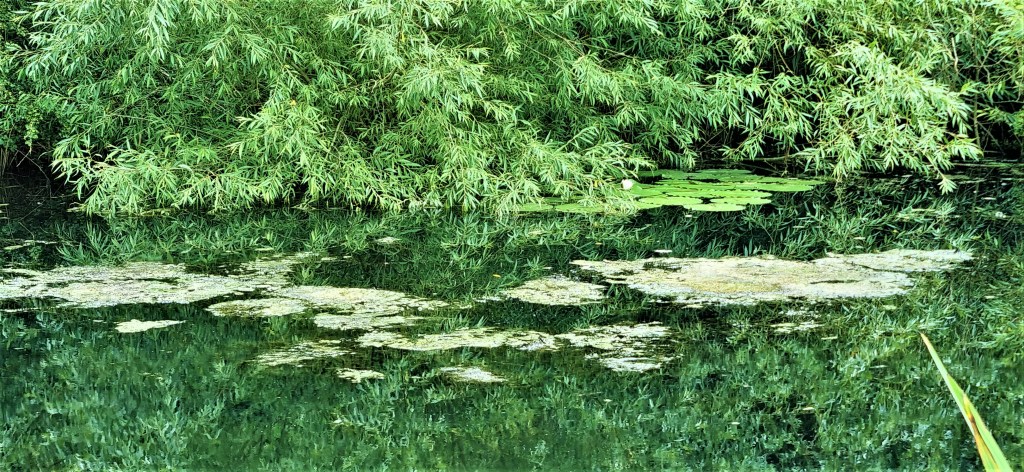 Thames Path: Newbridge to&nbsp;Oxford