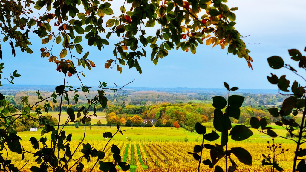 North Downs Way: Charing to&nbsp;Wye