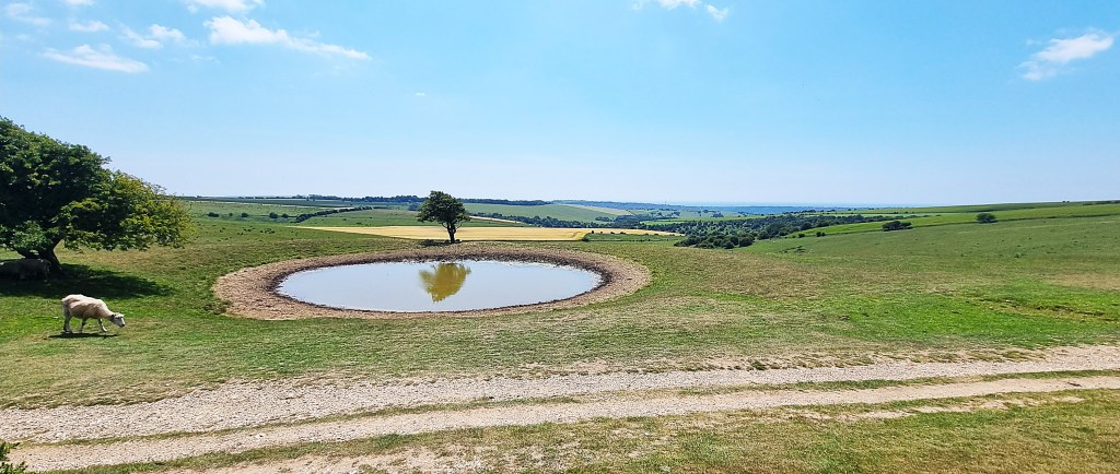 South Downs Way: Washington to&nbsp;Plumpton