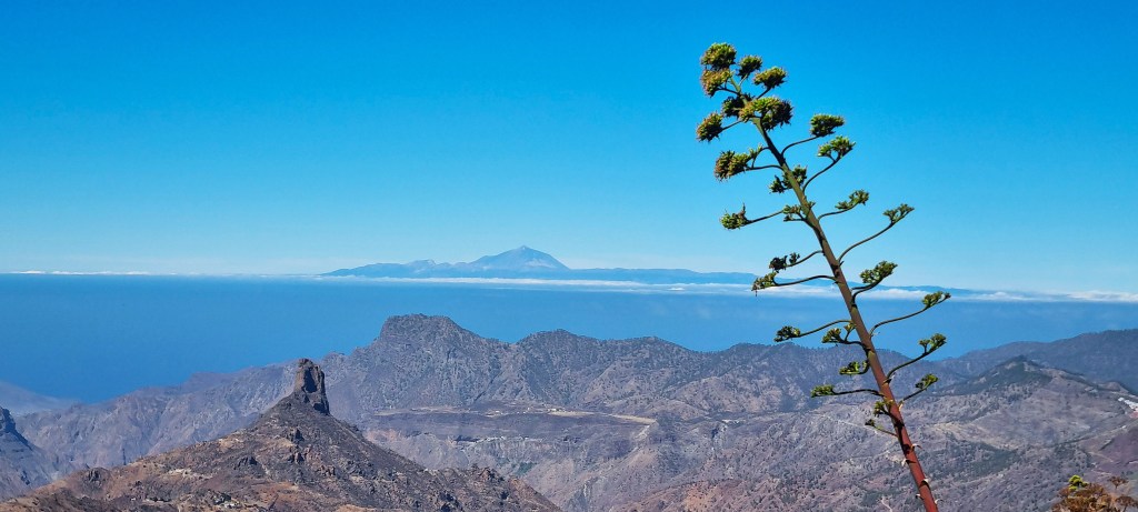 Walking in Gran Canaria: Saga Holidays, October 2025