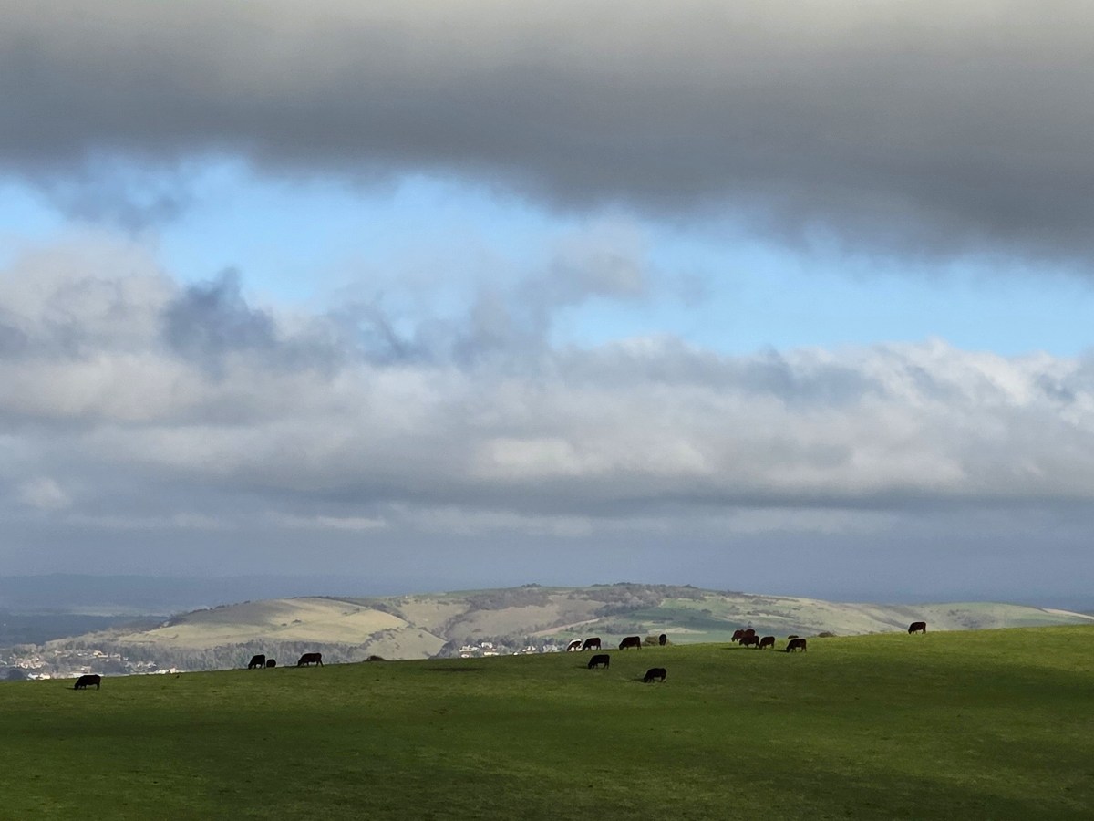 South Downs Way: Plumpton to&nbsp;Alfriston