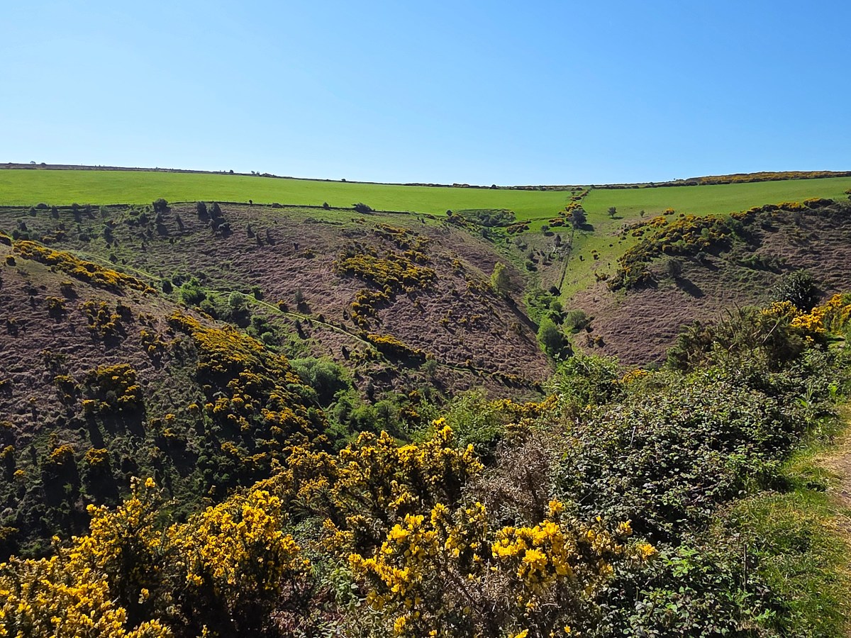 England Coast Path Fragments: Watchet to&nbsp;Minehead